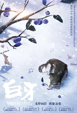 除此之外，影片还获得了威尼斯电影节金狮奖等九个国际重要电影节奖项的提名。